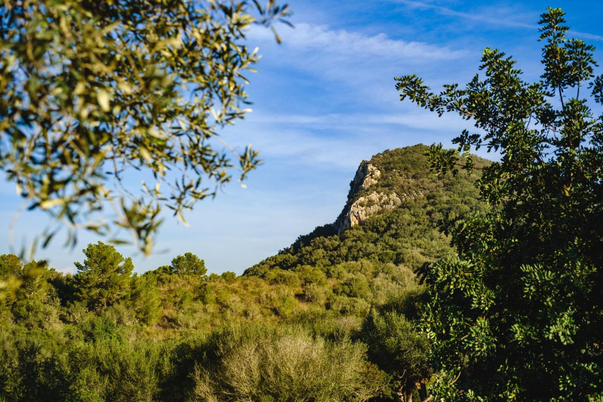 Finca Sa Bastida Luxury Retreat & Spa Adults Only Sant Joan Exteriér fotografie